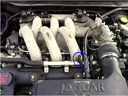 Top Hose 2.1 V6 Petrol-capture.png