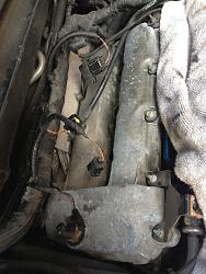 oil in the spark plugs-3306737f-32df-4631-84a1-0ce5220a4de3_zps50e095cf.jpg