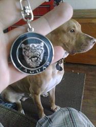 Small update: Mina Gallery emblems-img_20130920_165325.jpg