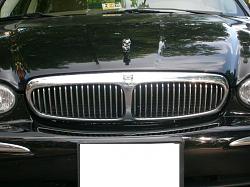 Mesh Grille Ebay Rip-off?-grillb.jpg