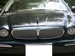 Mesh Grille Ebay Rip-off?-grilla.jpg