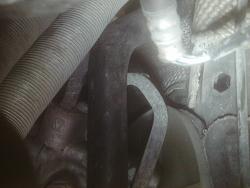 x type Heater hose from firwall free No idea where it belongs to-jaguarfirewallhose-022.jpg