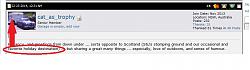 2002 Jaguar X Type Speedometer Problems-cat_as_trophy.jpg
