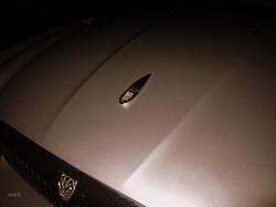 Where, oh where, has my leaper gone?-8piq.jpg