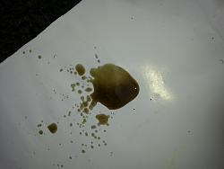 oil leak on xtype-suprasix30-2.jpg