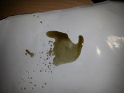 oil leak on xtype-suprasix30-3.jpg