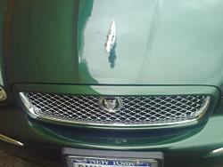 Need the 2008/2009 Grille for a 2002 model X-Type-4920_1162260412346_1102917201_470761_5799469_n.jpg