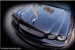 Popped my Mod Cherry-jaguar-growler-grill.jpg
