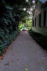 Post your X-Type picture here!-jungle10.jpg