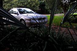 Post your X-Type picture here!-jungle2fl.jpg