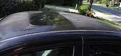 ClearCoat or Paint Damage??-image.jpg