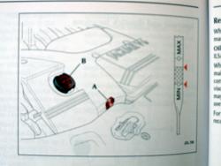 How to read the dipstick MAX level on a Jaguar 2003 X-Type-img_3779.jpg