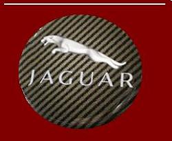 Steering Wheel Center Emblem-jaguar_cf.jpg