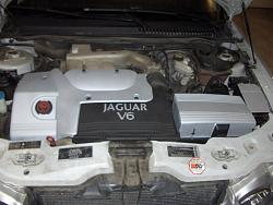 Painted my engine cover, etc-engine_cover-001.jpg