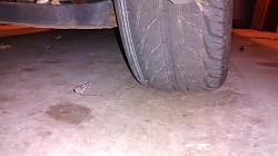 Newbie needs help-right_rear.jpg