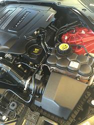 XE Real World Photos-photo114.jpg