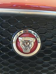 XE Real World Photos-photo846.jpg