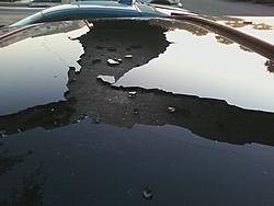 Time for Light and Air-sunroof5.jpg