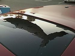 Time for Light and Air-sunroof3.jpg