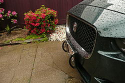 Front License Plates-p1030832.jpg