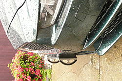 Front License Plates-p1030834.jpg