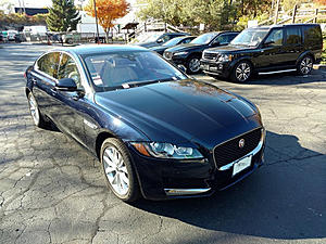 Back to Jaguar-hcy429311.jpg
