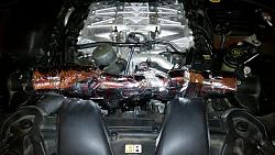Removing Cats-20141213_223409.jpg