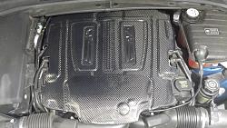 Mina Carbon Fiber Engine Cover-2015-03-26-20.39.45.jpg