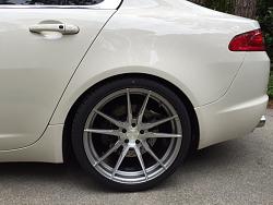 Rohana F2's have arrived-image-3994129289.jpg