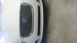 Photo Gallery - Where are the XFs?-20140926_151448.jpg
