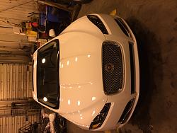 Photo Gallery - Where are the XFs?-img_0388.jpg