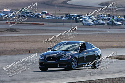 Track Experiences?-xfr-willow.png