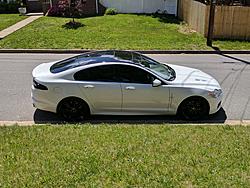 Photo Gallery - Where are the XFs?-img_20170503_142455.jpg
