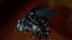 Check Your Cabin Air Filter!!-img_00000086.jpg