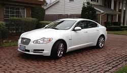 Photo Gallery - Where are the XFs?-photo-4-large-.jpg