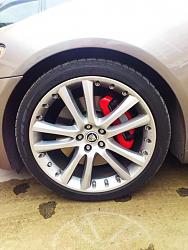 Painted Brake Calipers-dsc_0273.jpg