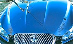 Spring Cleaning-imag0410.jpg