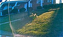 Spring Cleaning-imag0411.jpg