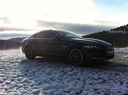 Photo Gallery - Where are the XFs?-photo-4-11-.jpg