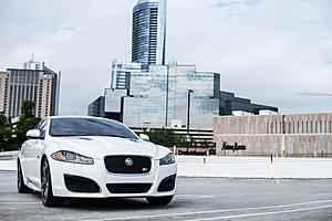 Photo Gallery - Where are the XFs?-xfr-2-2.jpg