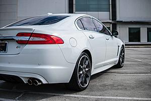 Photo Gallery - Where are the XFs?-xfr-5-2.jpg