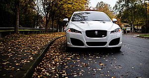 Photo Gallery - Where are the XFs?-xfr-fall.jpg