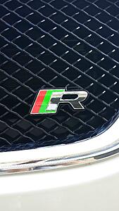 Blacked out grille - Plastidip DIY How To with Pics-gbaw3uu.jpg