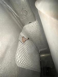 Rusted rear heat shield bolts-img-2-.jpeg