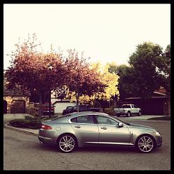 Photo Gallery - Where are the XFs?-img_1337.jpg