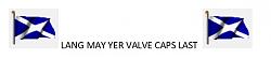 Which logo valve caps are safe to use?-jim.jpg