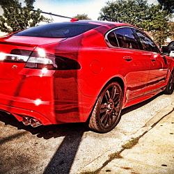 My beast-img_5336.jpg