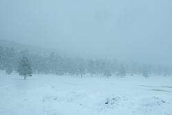 TPMS has a mind of its own-lotsofsnow.jpg