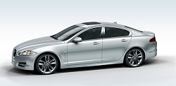 XF Color Advice-silver.png