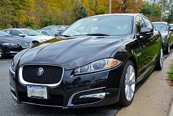 Photo Gallery - Where are the XFs?-1454927_10200913780949308_1172877981_n.jpg